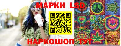 стафф Кандалакша
