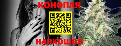 apvp Канаш
