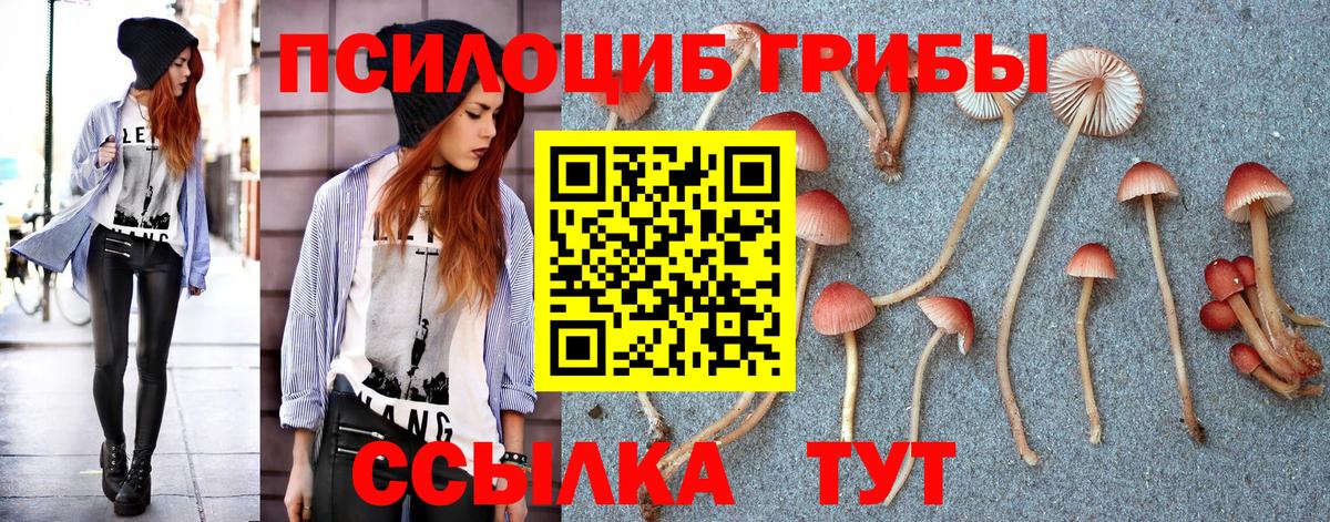 Псилоцибиновые грибы мухоморы Железноводск